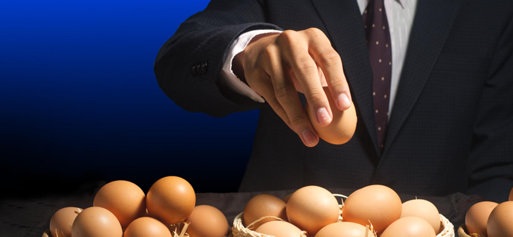 Diversification Blog